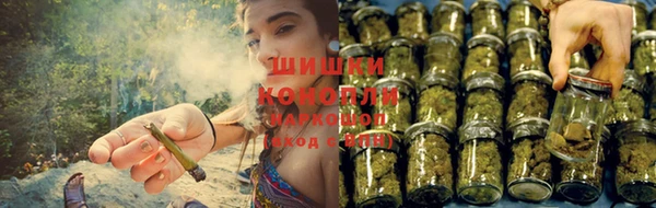 spice Балахна