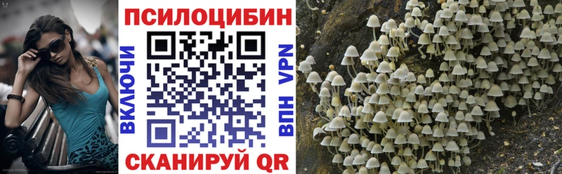 нарко площадка наркотические препараты  ссылка на мегу вход  Верея  как найти закладки  Псилоцибиновые грибы ЛСД 